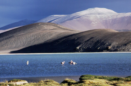 Ojos_laguna_011209